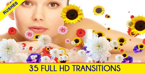 VideoHive Editors Transition Pack
