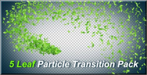 Videohive 5 Leaf Particle Transition Pack 4748859