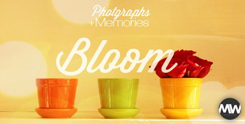 Photographs and Memories Bloom - Project for After Effects (Videohive)