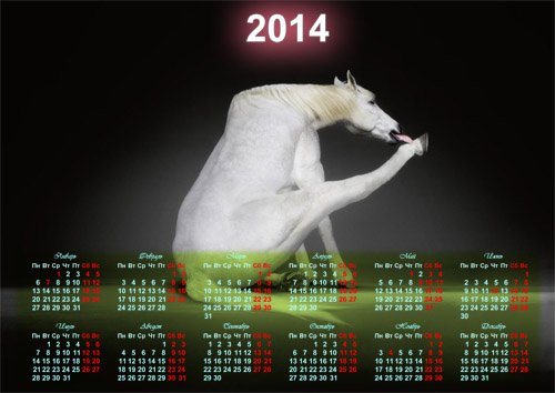 Календарь на 2014 год - Белая прикольная лошадка