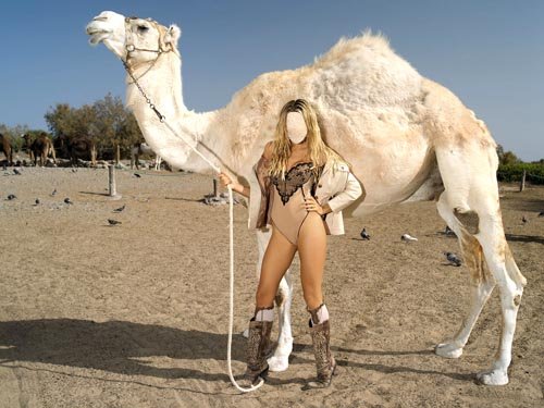 Шикарная блондинка с белым верблюдом - шаблон psd женский