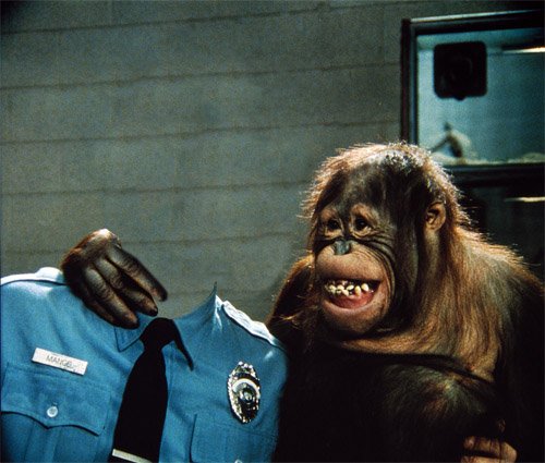 В форме полицейского с обезьяной - шаблон psd