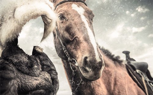Шаблон для photoshop - Зимняя прогулка с лошадкой