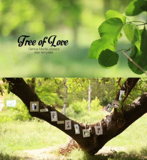 After Effects Project - Tree Of Love