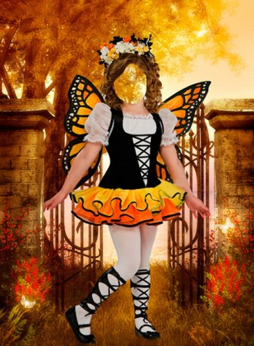 Шаблон для фотошопа – Осенняя бабочка