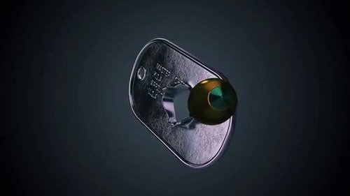Dog Tag - Project for After Effects