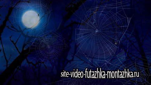 Motion Graphic - Midnight Web