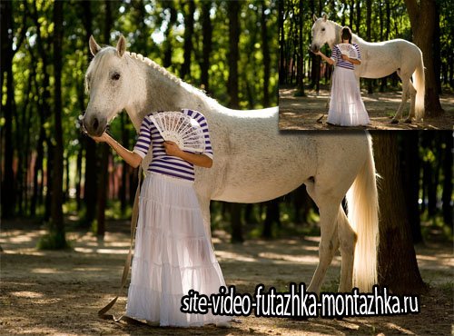 Шаблон для фотошопа - Фотосессия с красивой лошадкой в сквере