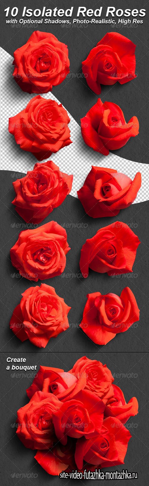 GraphicRiver 10 Photo-Realistic Isolated Red Roses