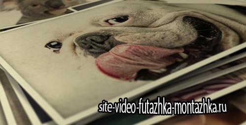 Photo Gallery Smile To Life - Project for After Effects (Videohive)