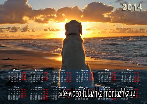 Красивый календарь - Собака на пляже смотрит на закат