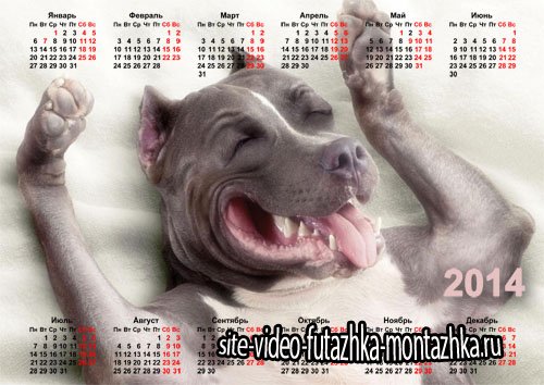 Календарь 2014 - Смешная собака