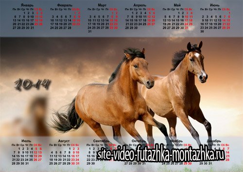 Календарь 2014 - Пара красивых лошадей