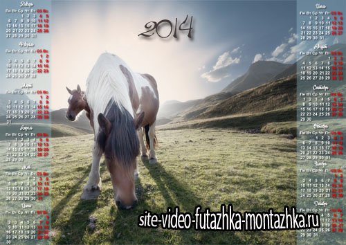 Красивый календарь - Кони пасутся на лужайке