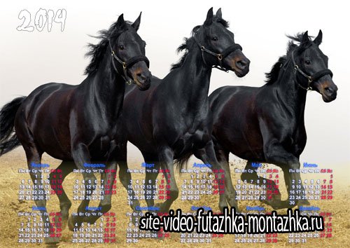 Календарь - 3 черных коня