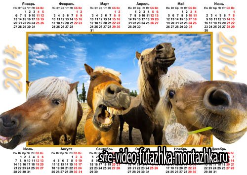 Календарь - Ржачные 4 коня