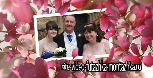 Beautiful Wedding Moments - Project for After Effects (Videohive)