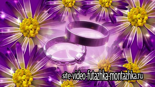 Свадебные кольца на фоне ромашек - HD футаж