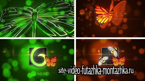 After Effect Project - Butterfly Logo Reveal