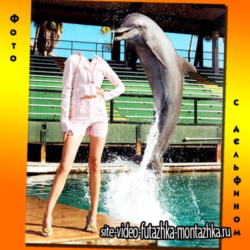 Женский шаблон - С веселым дельфином