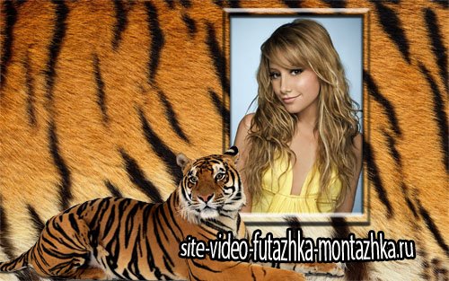Рамка для фотомонтажа - Тигровый фон с тигром