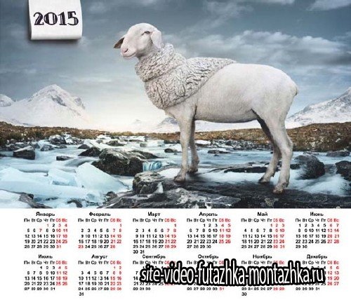На 2015 год календарь - Овечка модница