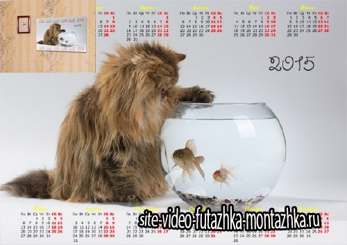 Календарь настенный - Кошка и рыбки