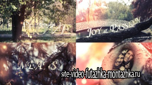 Hollow Love - Project for After Effects (Videohive)