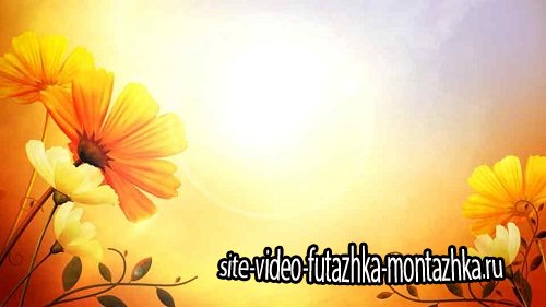 Футаж - Цветы на солнце