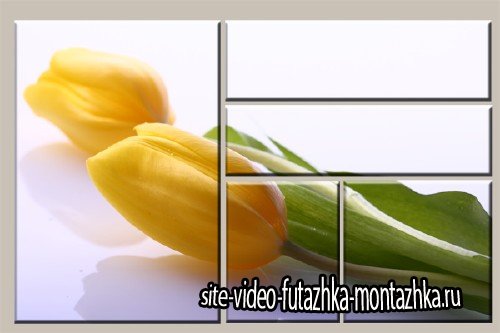 Модульная картинка из пяти частей - Желтый тюльпан