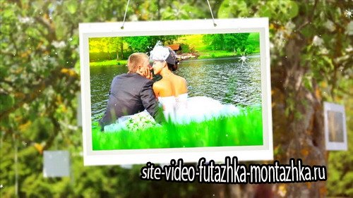 My Wedding Photo - Project for Proshow Producer