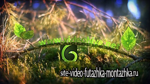 Spring Leaves Logo - Project for After Effects (Videohive)