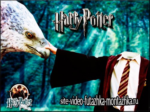 Детский фотошаблон для монтажа - Волшебник Гарри и большая птица