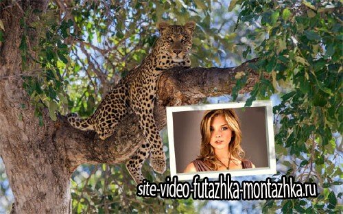 Рамка для фото - Дикий леопард на дереве