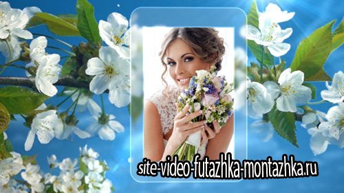 Photo Gallery Spring Blossoms - Project for After Effects (Videohive)