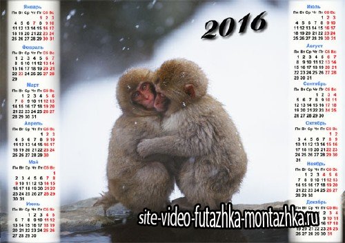Календарь 2016 - 2 маленькие обезьянки греются зимой