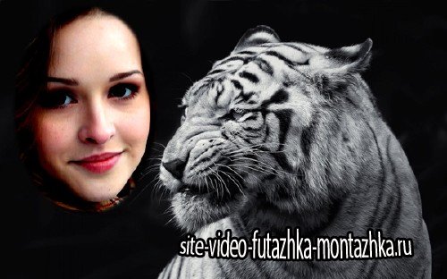 Фоторамка psd - Свирепый белый тигр