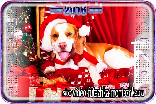 Красивый календарь - Собака в подарок под елку (2016)