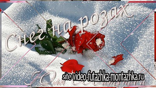 ProShow Producer Project Снег на розах (проект и стили)