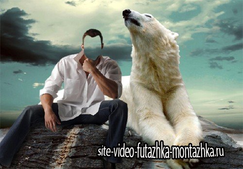 Шаблон для Photoshop - С белым медведем
