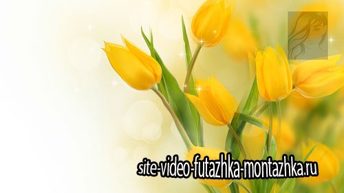 Футажи весенние цветочные (footages)