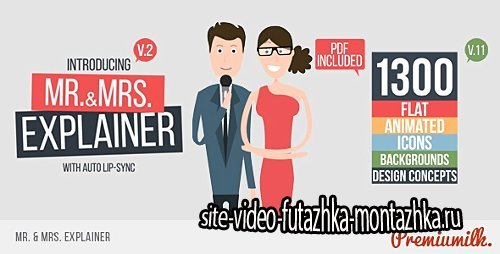 Mr&Mrs Explainer - Project for After Effects (Videohive)