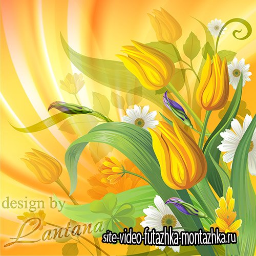 PSD исходник - Дарите жёлтые тюльпаны, превращая будни в сказку