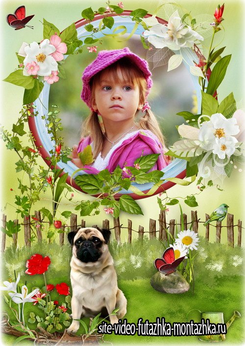 Цветочная рамка для фото с собачкой мопс - Чудесный летний день