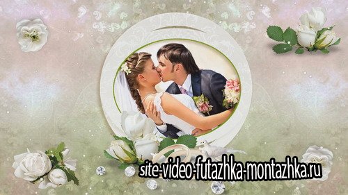 Just Married - Project for Proshow Producer