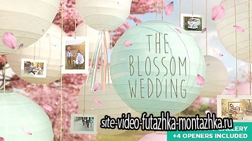 The Blossom Wedding - Photo Gallery Slideshow - Project for After Effects (Videohive)