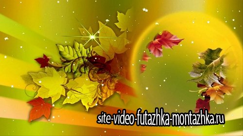 Видео футаж HD - Autumn footage