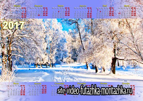 Календарь на новый год - Зимний лес
