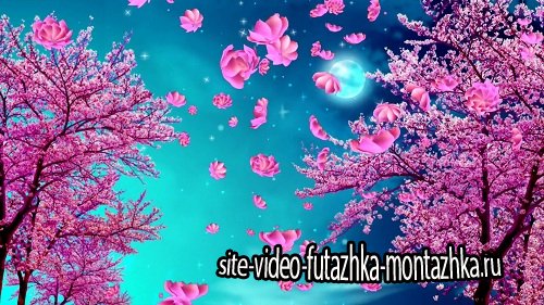 Видео Фон Праздник Весны цвет персикового дерева
