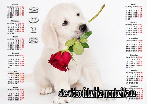  Календарь на 2018 год - Маленький щенок с розой 